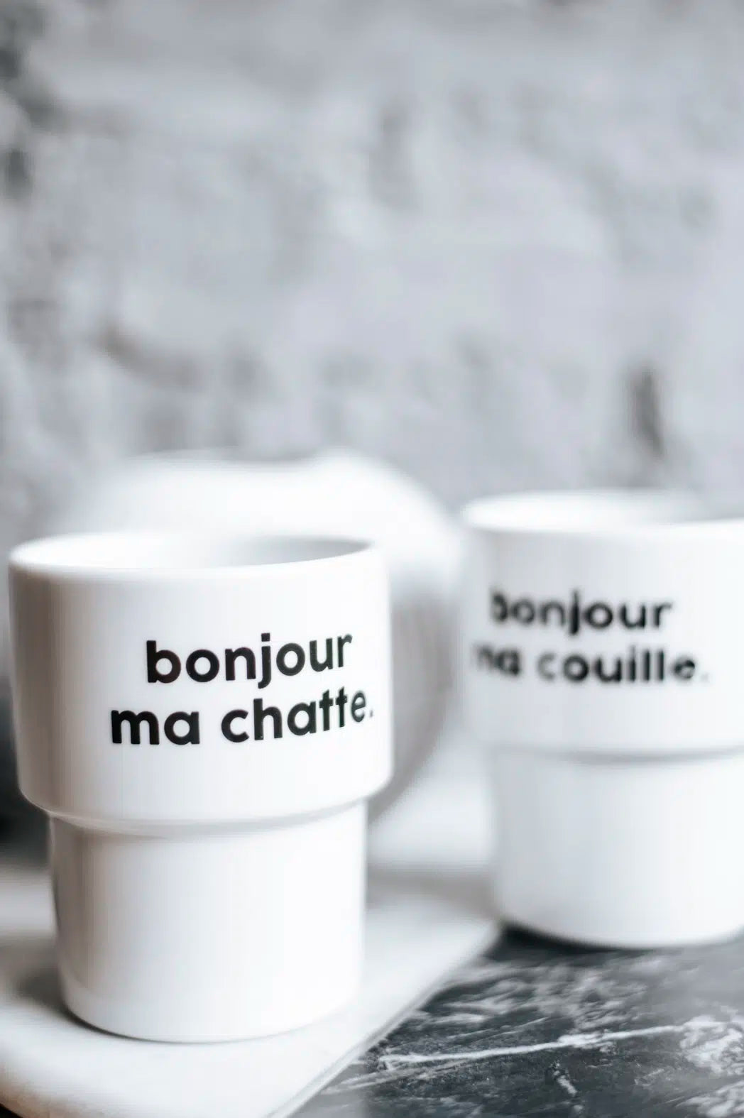 FÉLICIE AUSSI - Mug - Bonjour Babache