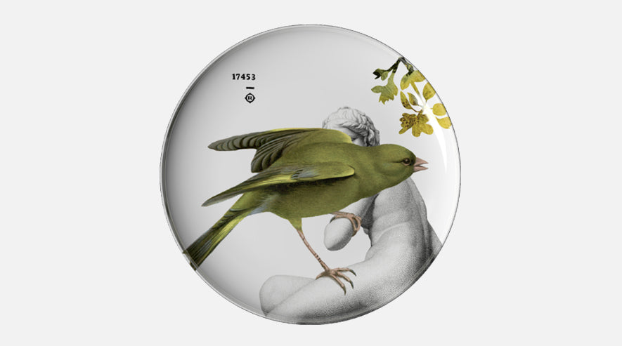 Ibride - Faux-semblants - Yuan - Parnasse