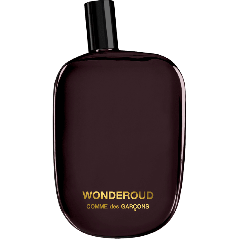 COMME DES GARÇONS - WONDEROUD