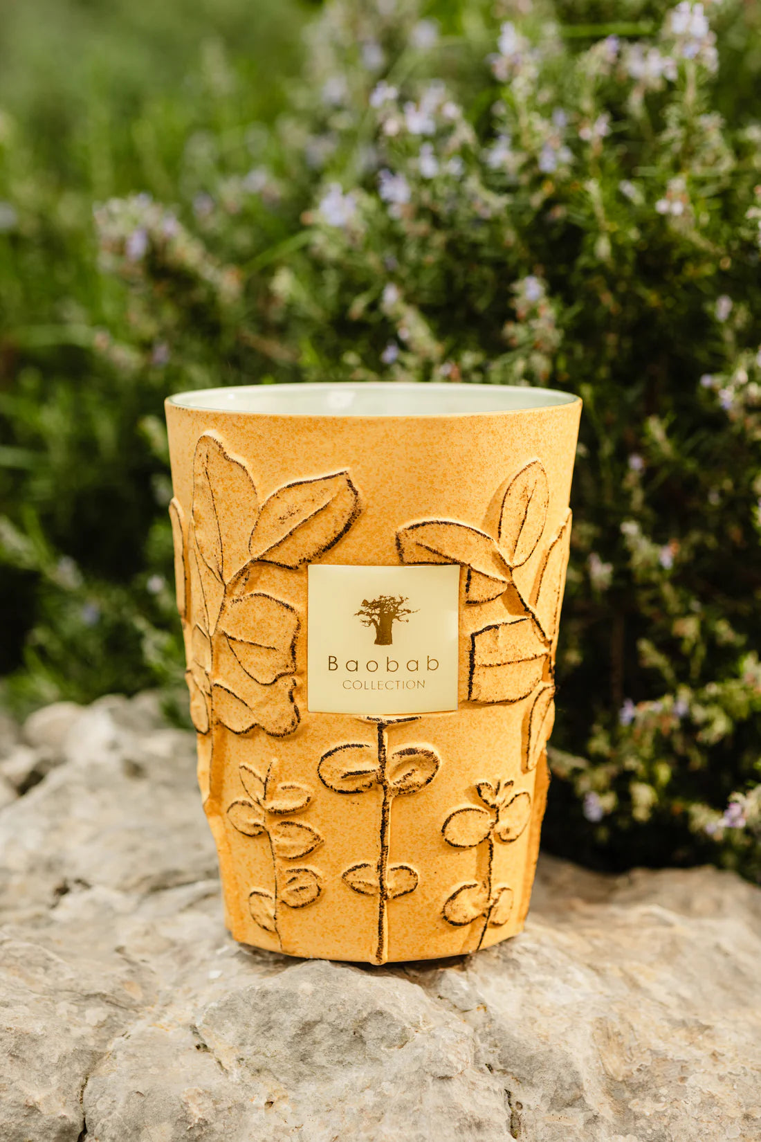 BAOBAB - FOLIA GARRIGUE