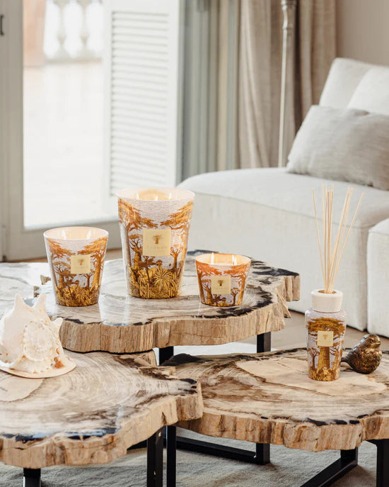 BAOBAB - SACRED TREES Cocody