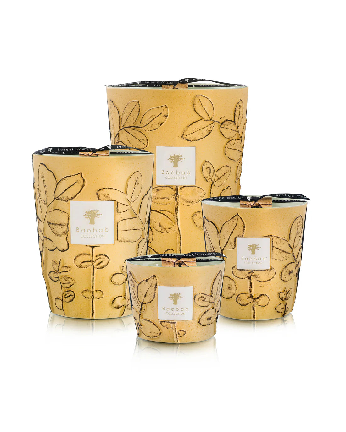 BAOBAB - FOLIA GARRIGUE