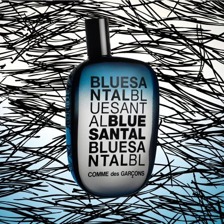 COMME DES GARÇONS - BLUE SANTAL