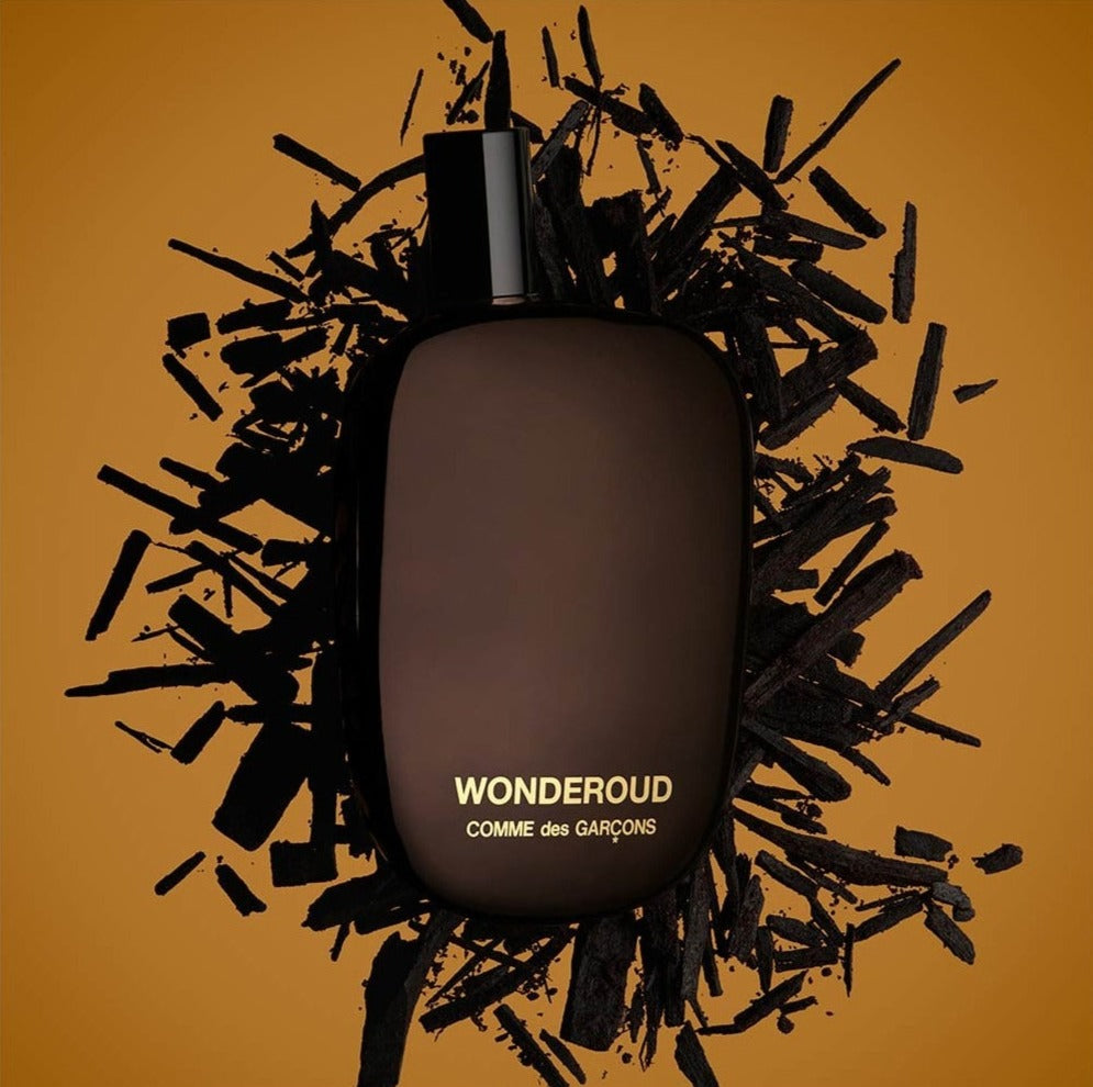 COMME DES GARÇONS - WONDEROUD